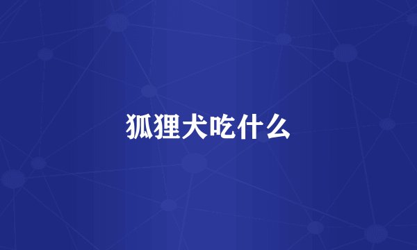 狐狸犬吃什么