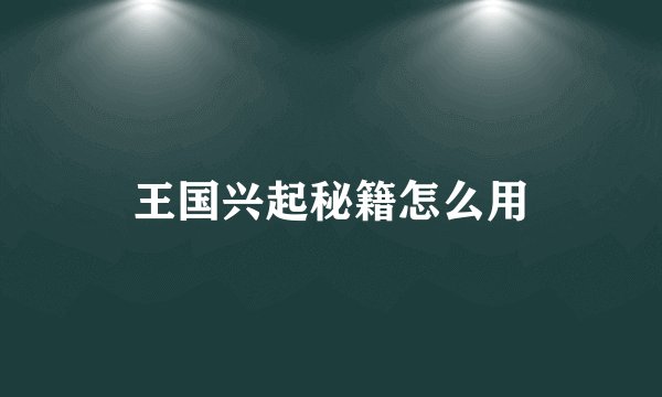 王国兴起秘籍怎么用