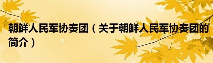 朝鲜人民军协奏团（关于朝鲜人民军协奏团的简介）