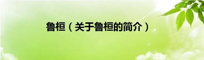 鲁桓（关于鲁桓的简介）
