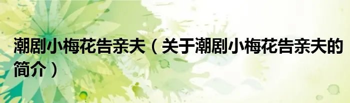 潮剧小梅花告亲夫(关于潮剧小梅花告亲夫的简介)