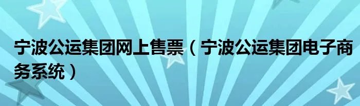 宁波公运集团网上售票（宁波公运集团电子商务系统）