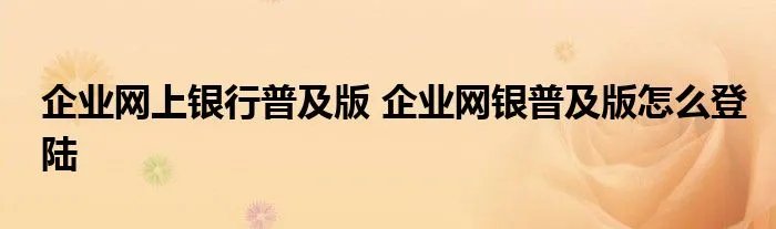 企业网上银行普及版 企业网银普及版怎么登陆
