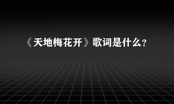 《天地梅花开》歌词是什么？