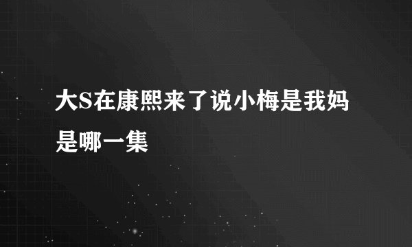 大S在康熙来了说小梅是我妈是哪一集