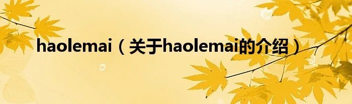 haolemai(关于haolemai的介绍)