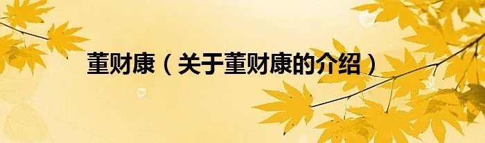 董财康（关于董财康的介绍）