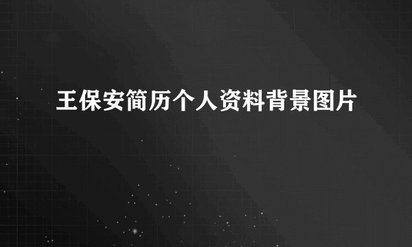 王保安简历个人资料背景图片