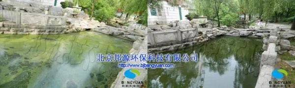 蓝藻爆发的治理措施有哪些？