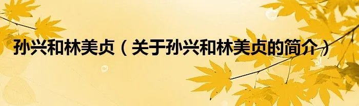 孙兴和林美贞（关于孙兴和林美贞的简介）