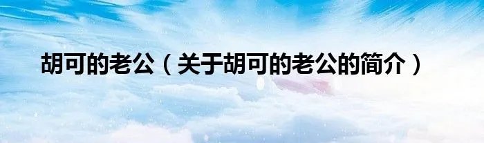胡可的老公（关于胡可的老公的简介）