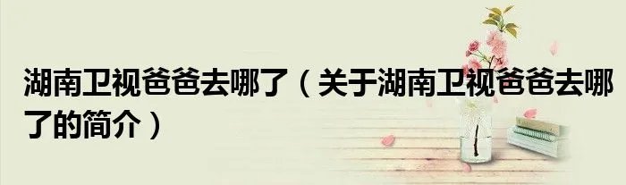 湖南卫视爸爸去哪了（关于湖南卫视爸爸去哪了的简介）
