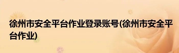 徐州市安全平台作业登录账号(徐州市安全平台作业)
