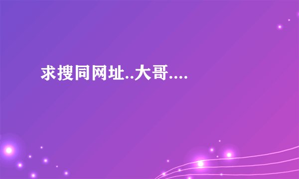 求搜同网址..大哥....
