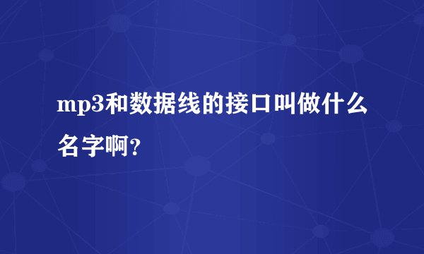 mp3和数据线的接口叫做什么名字啊？