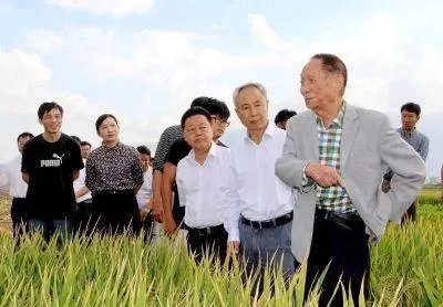 袁隆平江西人为什么一直在湖南?