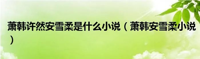 萧韩许然安雪柔是什么小说（萧韩安雪柔小说）