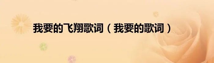 我要的飞翔歌词（我要的歌词）