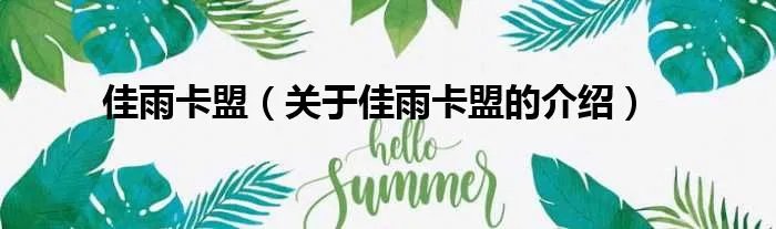佳雨卡盟（关于佳雨卡盟的介绍）