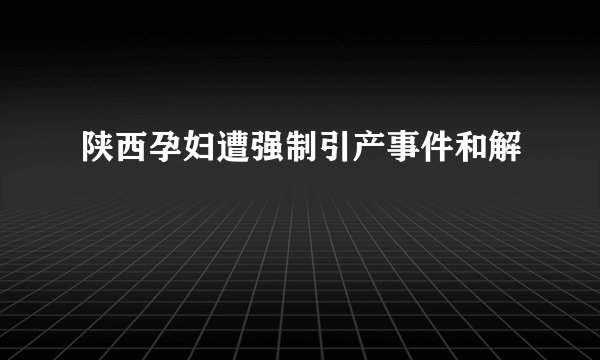 陕西孕妇遭强制引产事件和解