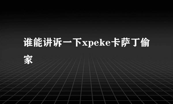 谁能讲诉一下xpeke卡萨丁偷家
