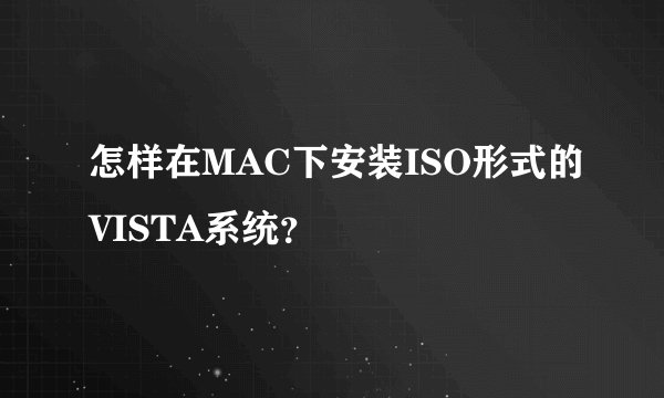 怎样在MAC下安装ISO形式的VISTA系统?