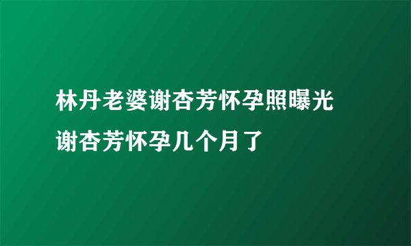 林丹老婆谢杏芳怀孕照曝光 谢杏芳怀孕几个月了