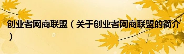 创业者网商联盟（关于创业者网商联盟的简介）