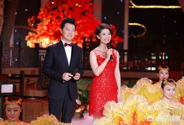 2019央视春晚主持人名单正式公布,11人的主持阵容出人预料,对此你怎么看?