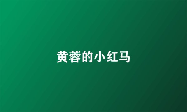 黄蓉的小红马
