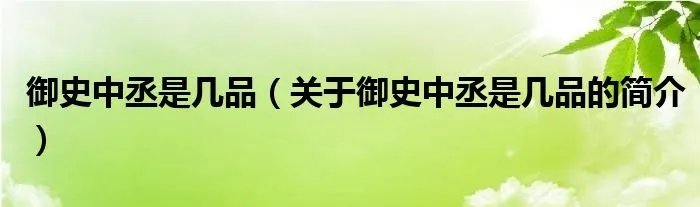 御史中丞是几品（关于御史中丞是几品的简介）