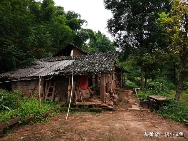 2020年合村并镇试点名单?合村并镇有何好处?
