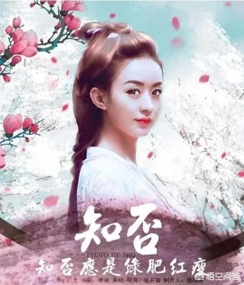 如何评价《知否知否,应是绿肥红瘦》这部剧?