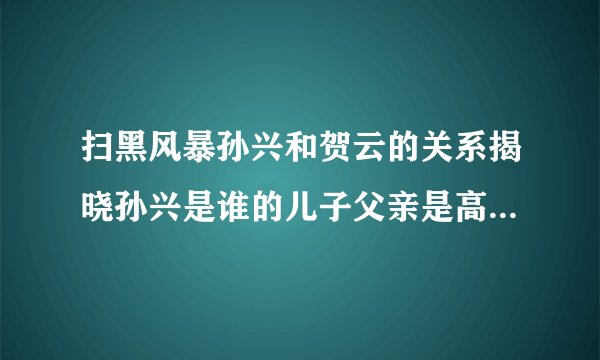 扫黑风暴孙兴和贺云的关系揭晓孙兴是谁的儿子父亲是高明远吗_飞外