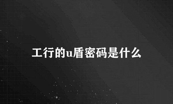 工行的u盾密码是什么