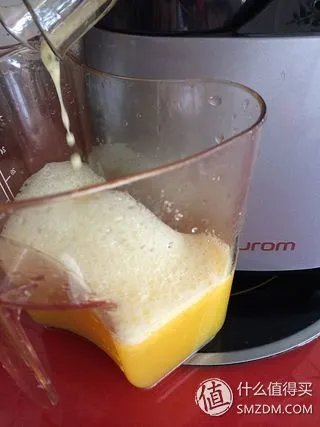 中了电视购物的毒!HUROM 韩国惠人 HU-500DG 原汁机