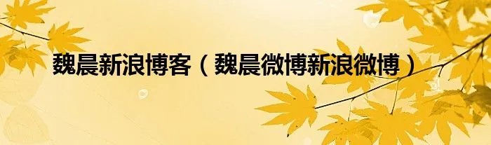 魏晨新浪博客（魏晨微博新浪微博）