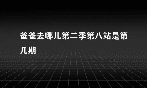 爸爸去哪儿第二季第八站是第几期