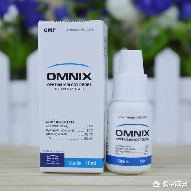 詹姆斯眼睛充血的问题怎么样了?