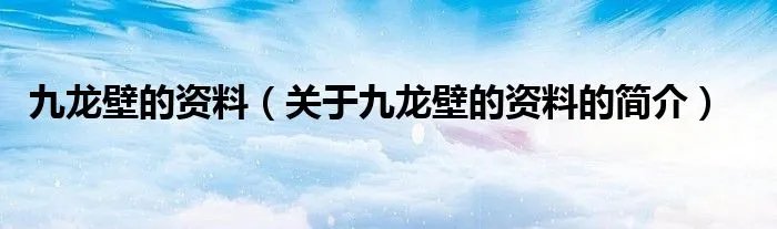 九龙壁的资料（关于九龙壁的资料的简介）