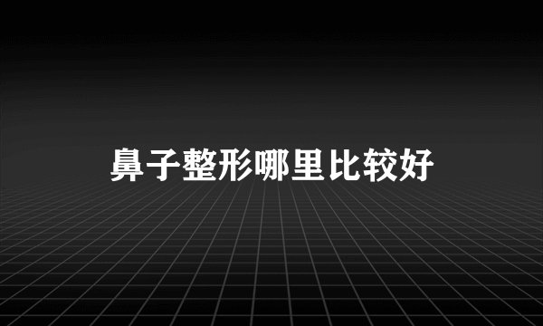 鼻子整形哪里比较好