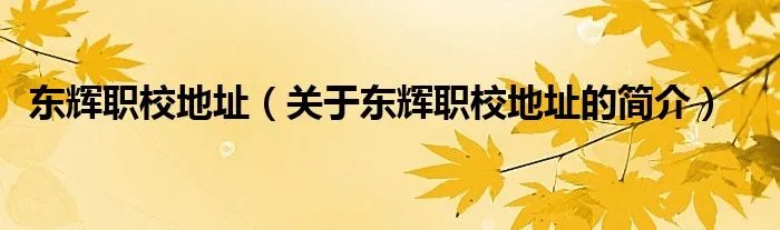 东辉职校地址（关于东辉职校地址的简介）