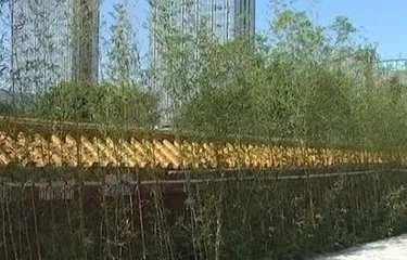 收楼发现是墓景房,消费者应如何维权?