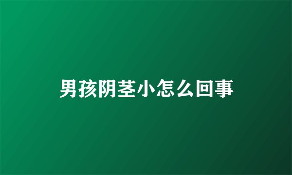 男孩阴茎小怎么回事
