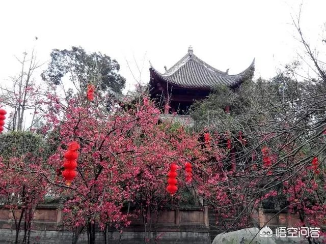 成都市郫都区三道堰小产权房可以买吗?