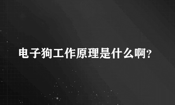 电子狗工作原理是什么啊？