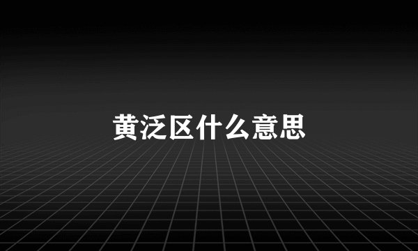 黄泛区什么意思