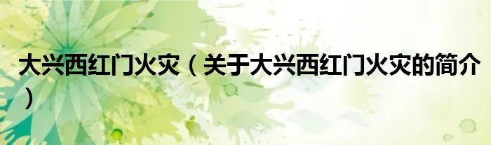 大兴西红门火灾(关于大兴西红门火灾的简介)
