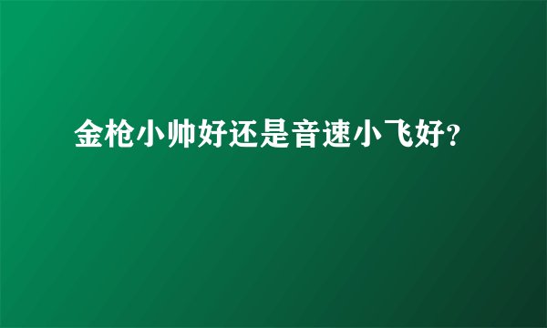金枪小帅好还是音速小飞好？