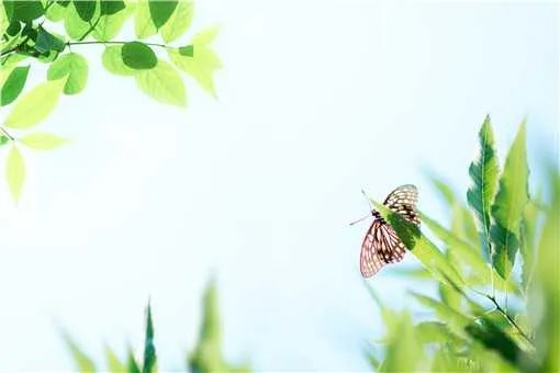 2021年5月5日立夏准确时间几点几分？立夏是不是就是夏天了？